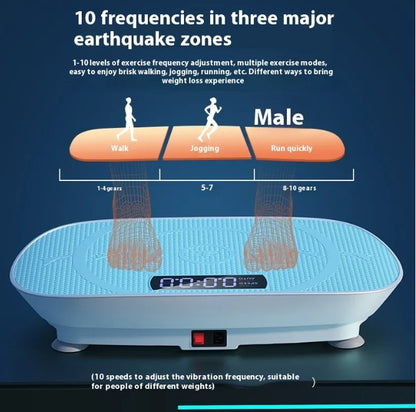Whole Body Vibration Plate